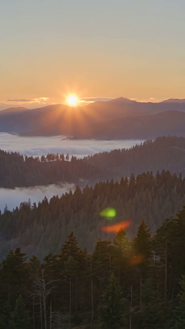 Golden hour over the forested ridges of the Santa Cruz Mountains